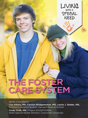 cover image of The Foster Care System
